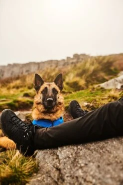 Regatta Black Samaris Mid II Waterproof Walking Boots 13 Regatta Black Samaris Mid II Waterproof Walking Boots -Regatta 297834s7