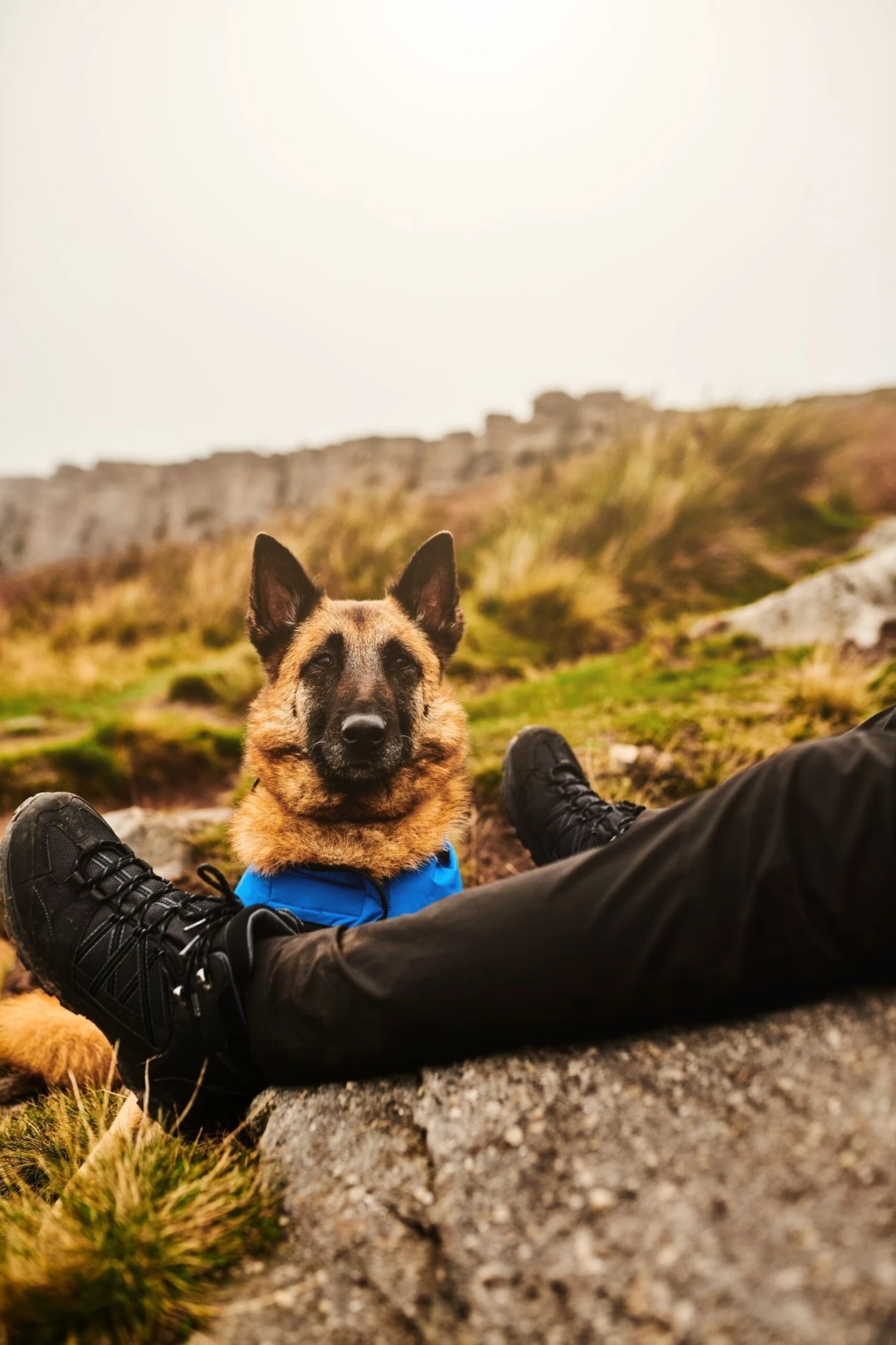 Regatta Black Samaris Mid II Waterproof Walking Boots 7 Regatta Black Samaris Mid II Waterproof Walking Boots - Image 7