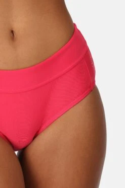 Regatta Pink Paloma Brief Bikini Bottoms 11 Regatta Pink Paloma Brief Bikini Bottoms -Regatta D98714s4